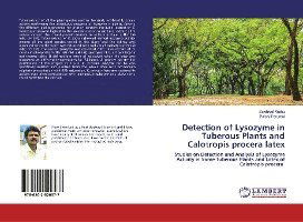 Cover for Muthu · Detection of Lysozyme in Tuberous (Book)