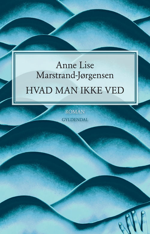 Cover for Anne Lise Marstrand-Jørgensen · Hvad man ikke ved (Sewn Spine Book) [1e uitgave] (2012)