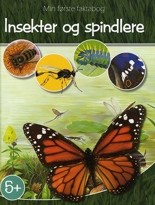 Min første faktabog: Insekter og Spindlere - Nicholas Harris - Książki - Globe - 9788779006577 - 15 stycznia 2009