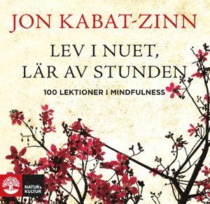 Cover for Jon Kabat-Zinn · Lev i nuet, lär av stunden : 100 lektioner i mindfulness (Buch) (2010)