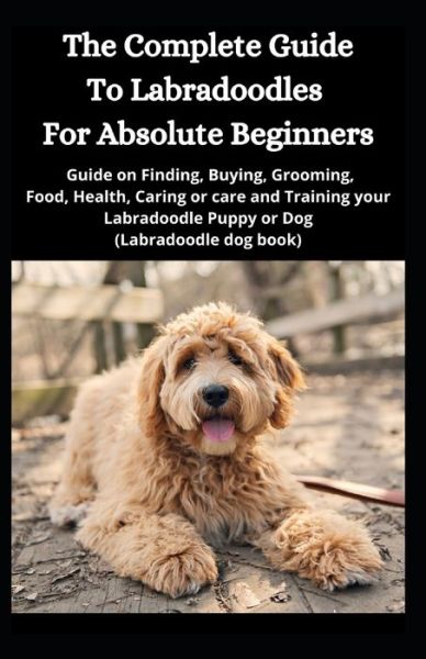 Cover for Jason Lee · The Complete Guide To Labradoodles for Absolute Beginners (Paperback Book) (2020)