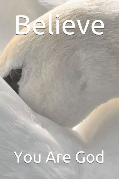 Cover for Amilcar Abreu Fernandes Triste · Believe (Paperback Book) (2020)