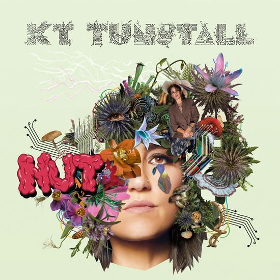 Nut - Kt Tunstall - Musik - EMI - 0602445911578 - 9. september 2022