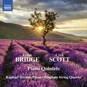 Cover for Terronibingham Quartet · Bridgescottpiano Quintets (CD) (2015)