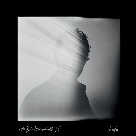 Cover for Doyle Bramhall · Shades (LP) (2018)