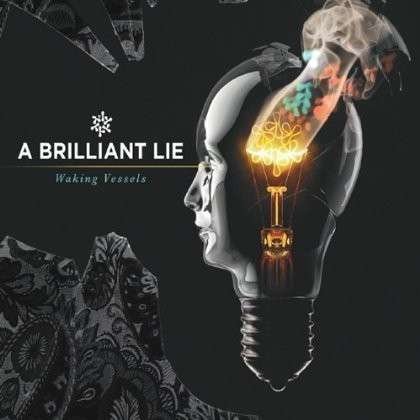 Cover for A Brilliant Lie · A Brilliant Lie - Waking Vessels (CD) (2023)