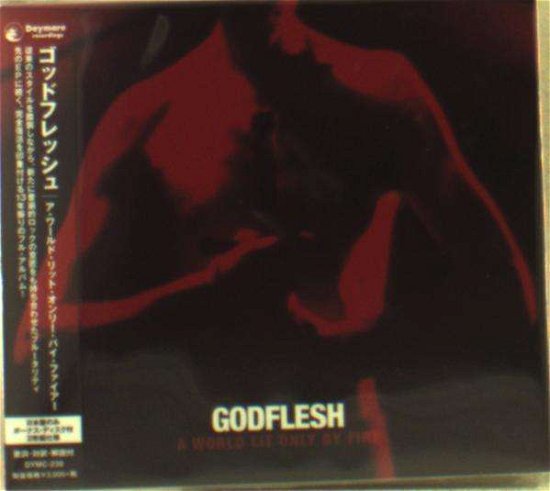 Cover for Godflesh · A World Lit Only By Fire (CD) [Japan Import edition] (2014)