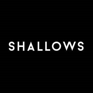 Cover for Shallows · Pale / House of Love (LP) (2016)