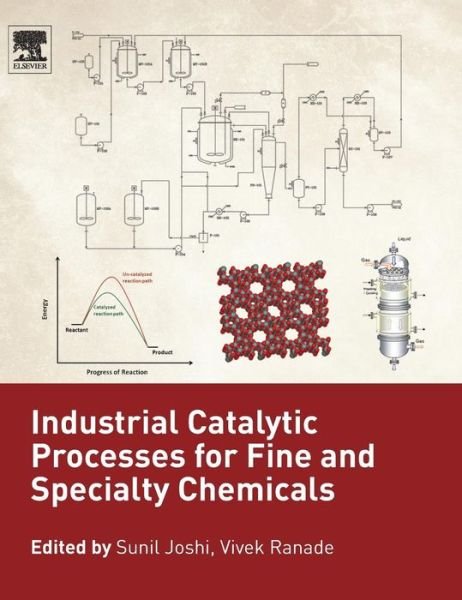 Cover for Sunil Joshi · Industrial Catalytic Processes for Fine and Specialty Chemicals (Hardcover Book) (2016)