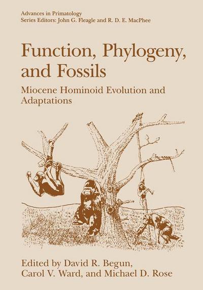 Cover for Michael D Rose · Function, Phylogeny and Fossils: Miocene Hominoid Evolution and Adaptations - Advances in Primatology (Hardcover Book) (1997)