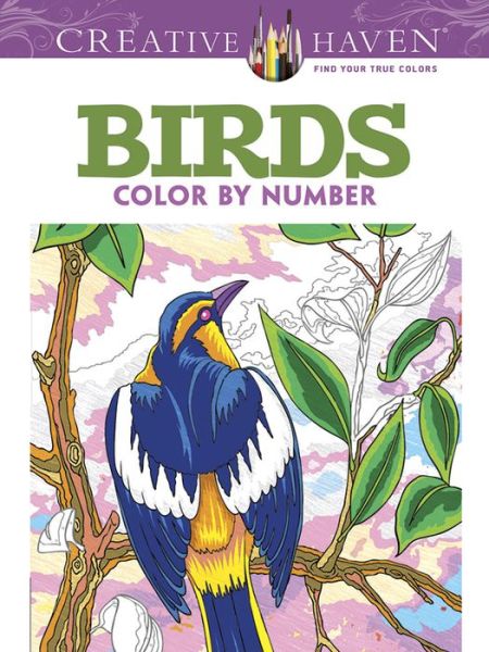 Cover for George Toufexis · Creative Haven Birds Color by Number Coloring Book - Creative Haven (Paperback Book) (2016)