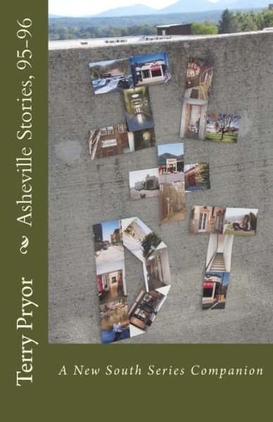 Cover for Terry Pryor · Asheville Stories, 95-96 (Paperback Book) (2010)