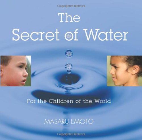 The Secret of Water - Masaru Emoto - Livros - Atria Books - 9781582701578 - 17 de outubro de 2006