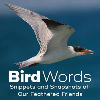 Cover for John Yunker · Bird Words Snippets and Snapshots of Our Feathered Friends (Paperback Book) (2018)