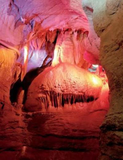 Skyline Caverns Capital Dome Rock Formation College Ruled Composition Notebook - Bliss - Kirjat - Createspace Independent Publishing Platf - 9781724626578 - tiistai 31. heinäkuuta 2018