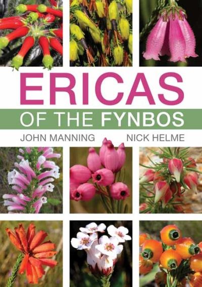 Cover for John Manning · Ericas of the Fynbos (Paperback Book) (2024)