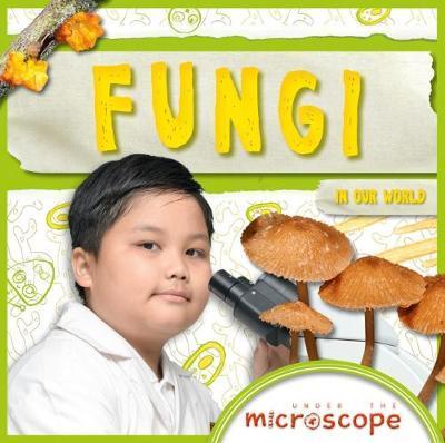 Cover for Holly Duhig · Fungi - Under the Microscope (Hardcover Book) (2018)