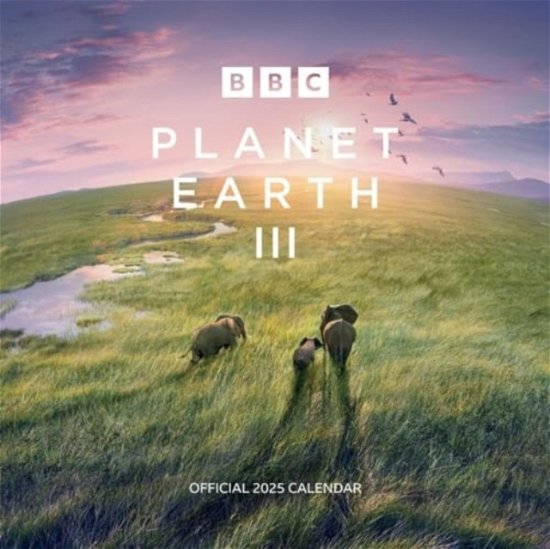 Cover for Official BBC Earth Square Calendar 2025 (Calendar) (2024)