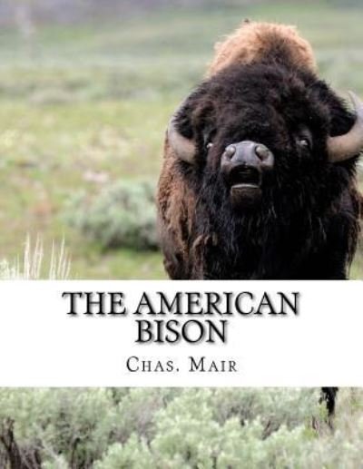 Cover for Jackson Chambers · The American Bison (Paperback Bog) (2017)