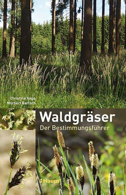 Cover for Rapp · Waldgräser (Book)