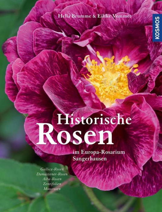 Cover for Brumme · Historische Rosen (Book)