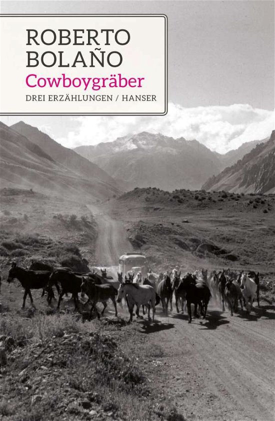 Cover for Bolaño · Die Cowboy-Gräber (Book)
