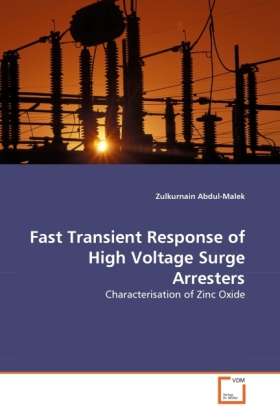 Cover for Zulkurnain Abdul-malek · Fast Transient Response of High Voltage Surge Arresters: Characterisation of Zinc Oxide (Paperback Book) (2010)
