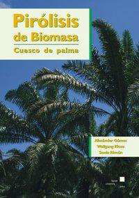 Cover for Gómez · Pirólisis de Biomasa (Bok)