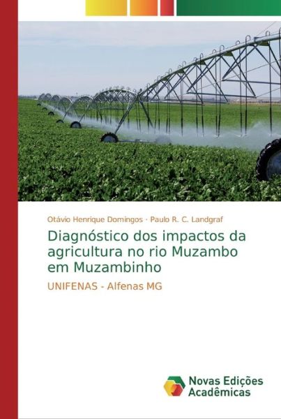 Cover for Domingos · Diagnóstico dos impactos da ag (Bog) (2019)