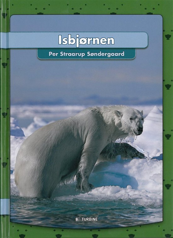Cover for Per Straarup Søndergaard · Jeg læser: Isbjørnen (Innbunden bok) [1. utgave] [Indbundet] (2014)