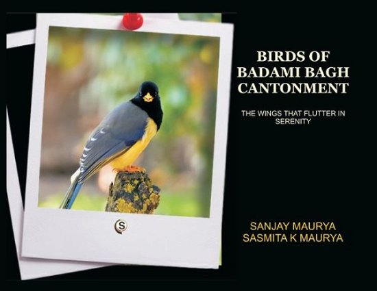 Cover for Sanjay Maurya · Birds of Badami Bagh Cantonment (Paperback Book) (2022)