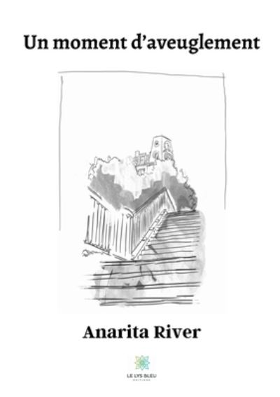 Cover for Anarita River · Un moment d'aveuglement (Paperback Book) (2023)