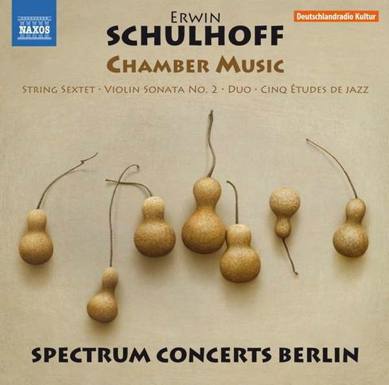 Chamber Music - E. Schulhoff - Musique - NAXOS - 0747313352579 - 1 octobre 2016