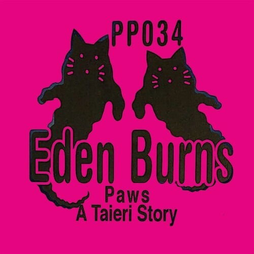 Cover for Eden Burns · Paws A Taieri Story (LP) (2020)