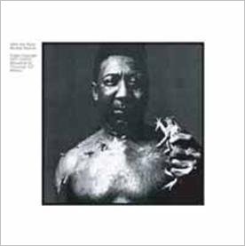 Cover for Muddy Waters · After the Rain (CD) [Japan Import edition] (2011)