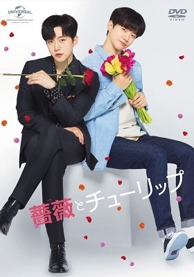Cover for Junho · Bara to Tulip Special DVD Box &lt;limited&gt; (MDVD) [Japan Import edition] (2019)