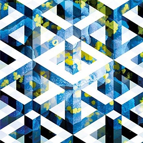 Cover for Bluetech · Liquid Geometries (CD) (2018)