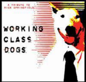 Working Class Dogs - Rick Springfield - Musiikki - MELODIC ROCK - 5055300335579 - maanantai 23. huhtikuuta 2012