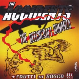 Cover for Acidents · Beechcraft Bonanza-frutti Di Bosco (CD) (2010)