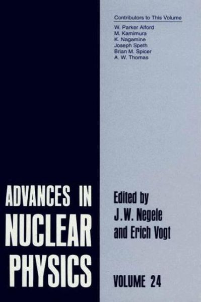 Cover for J W Negele · Advances in Nuclear Physics: Volume 24 - Advances in Nuclear Physics (Hardcover Book) [1998 edition] (1998)