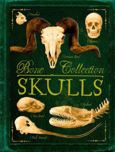 Cover for Rob Scott Colson · Bone Collection: Skulls (Paperback Book) (2014)