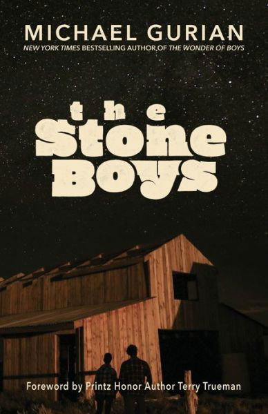 Cover for Michael Gurian · Stone Boys (Bok) (2019)