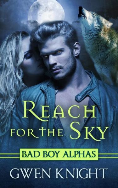 Cover for Gwen Knight · Reach for the Sky (Paperback Book) (2015)