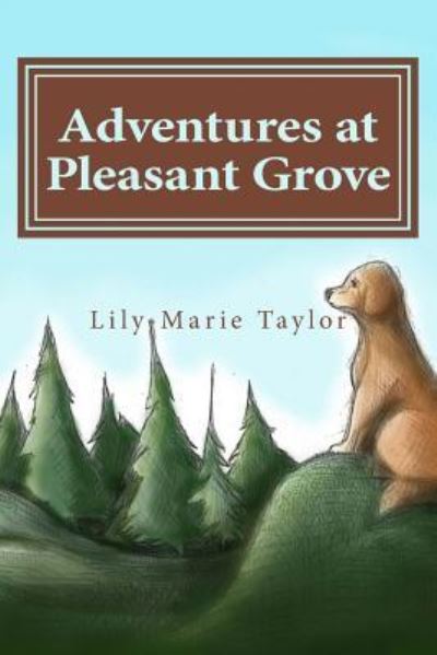 Cover for Lily-marie Taylor · Adventures at Pleasant Grove (Paperback Book) (2015)