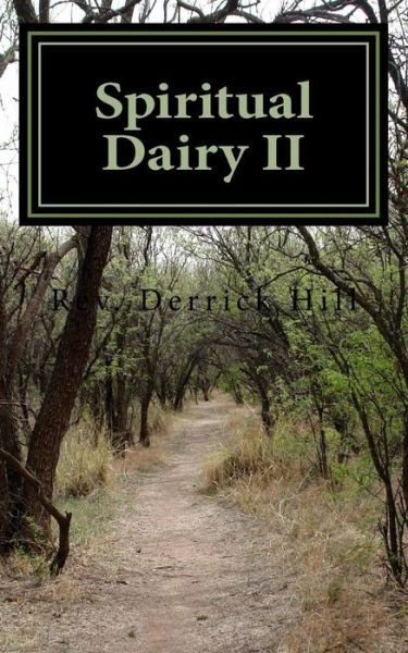 Cover for Derrick Allen Hill Phd · Spiritual Dairy II (Paperback Bog) (2015)