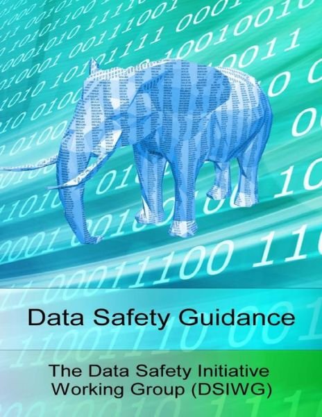 Cover for Paul Hampton · Data Safety Guidance (Pocketbok) (2016)