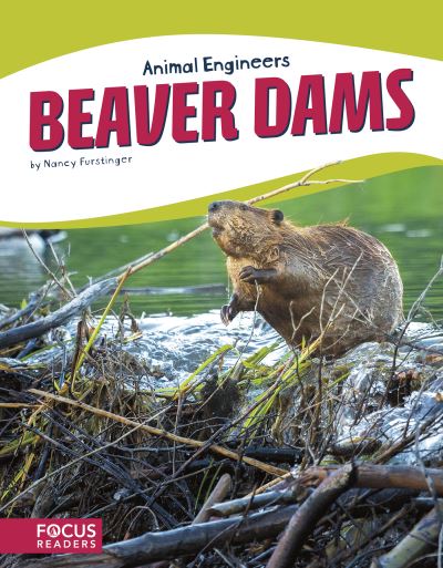 Cover for Nancy Furstinger · Beaver Dams (Hardcover Book) (2018)