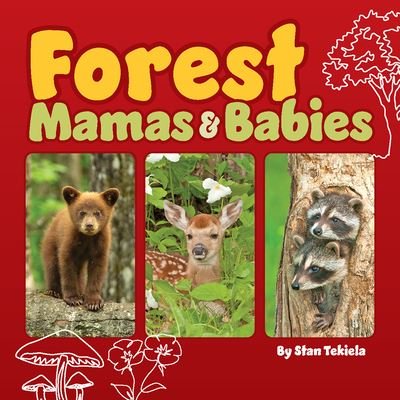 Cover for Stan Tekiela · Forest Mamas and Babies - Wildlife Families (Board book) (2024)