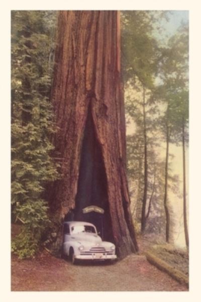 Cover for Found Image Press · Vintage Journal Redwood and Old Car (Book) (2022)