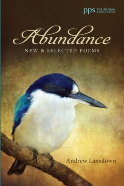 Cover for Andrew Lansdown · Abundance (Paperback Book) (2020)